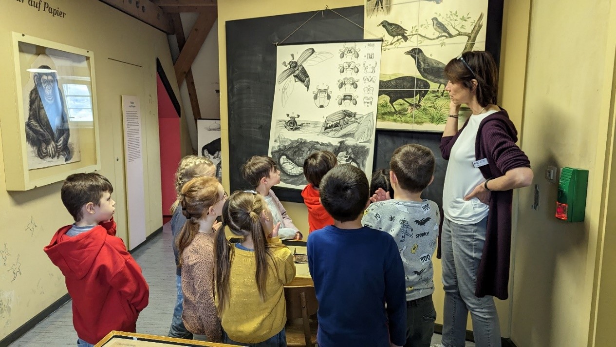 Klassenaktivitäten (8)
