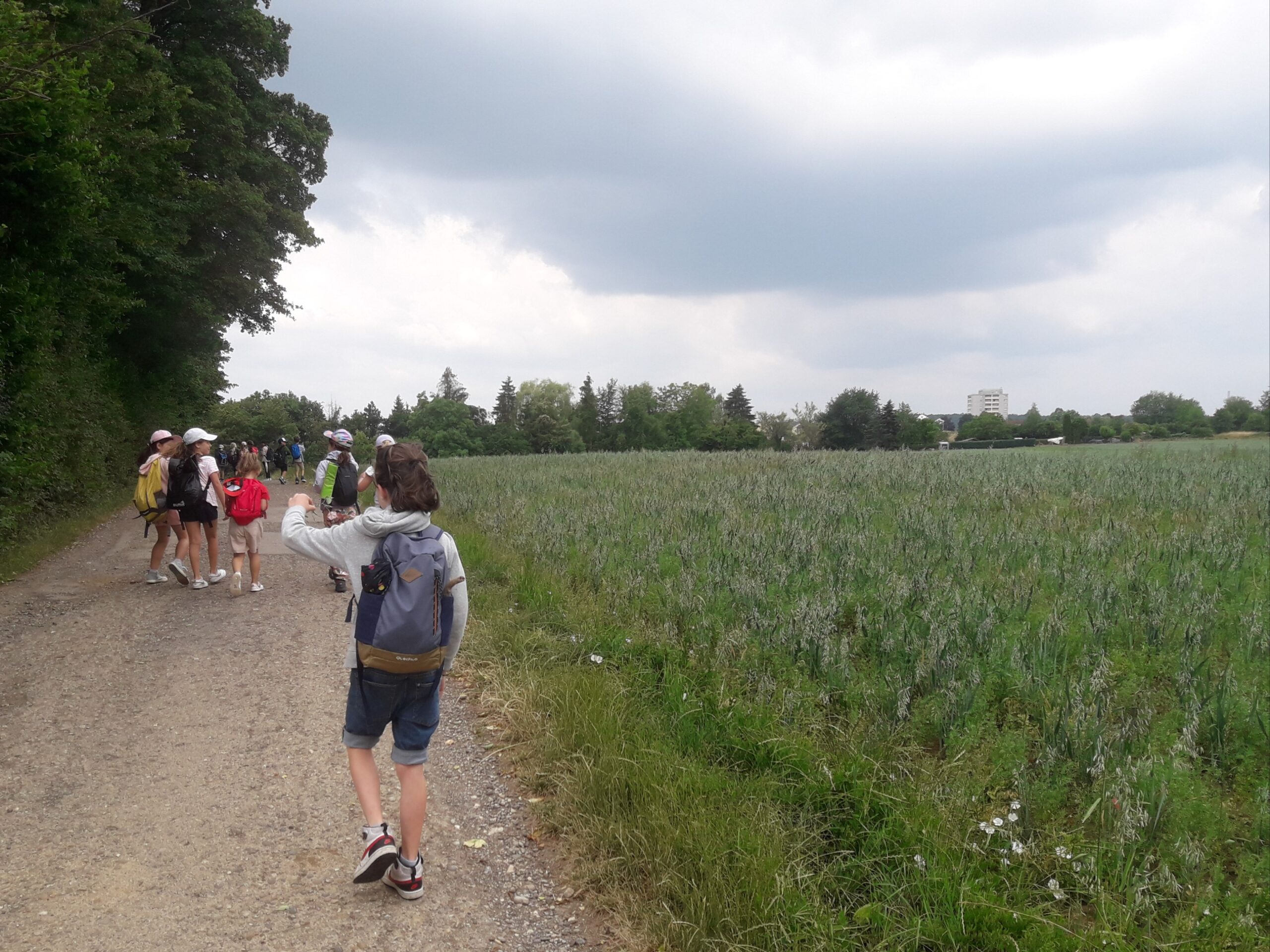 Wandertag 2023 (4)